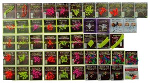 画像5: ハードクッション