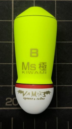 画像5: MS（エムズ）極（KIWAMI）