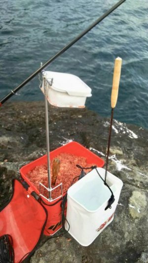 画像2: Wシャク立て&水クミT2