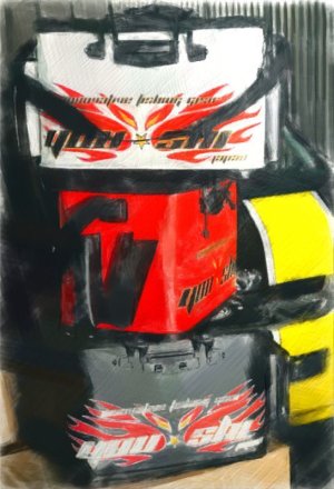 画像4: YSライヴウェルＴ3　50