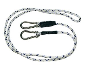 画像2: チャランボロープT2