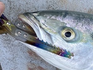 画像12: 64チタニウムフィッシュキャッチャー/パワーキャッチャー☆