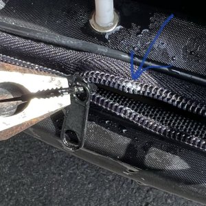 画像8: 塩ガミ救出隊