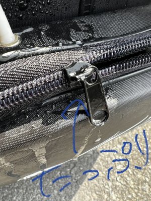 画像6: 塩ガミ救出隊