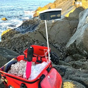 画像3: Wシャク立て&水クミT2