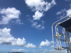 画像1: 戎様　バッカン　WHセット